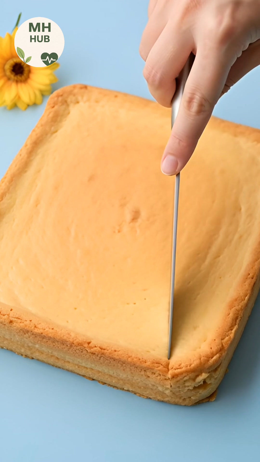 High Protein Cheese Cake