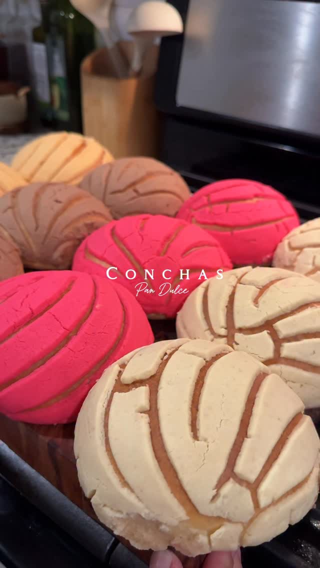Conchas Mexicana