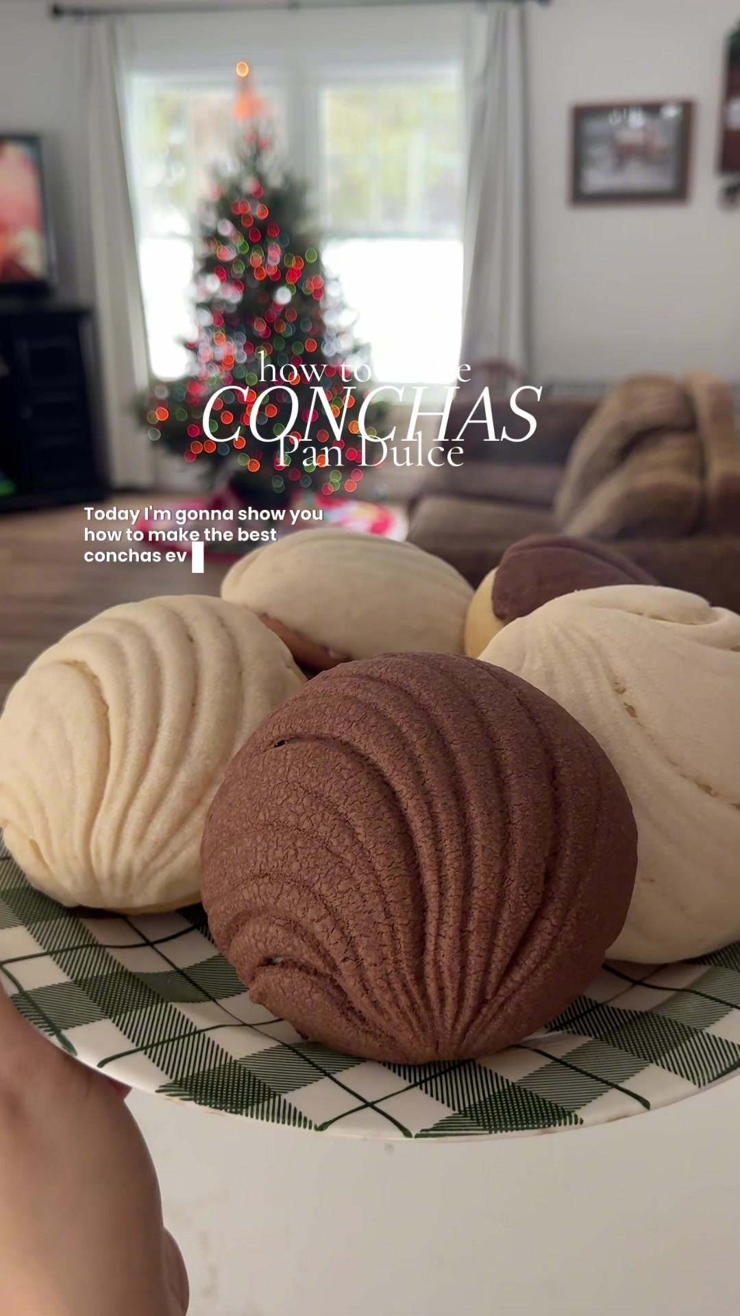 Conchas
