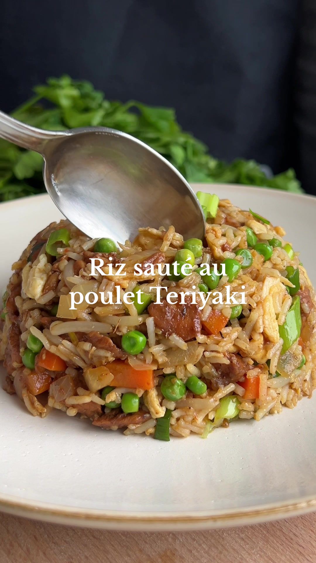 Teriyaki Chicken Rice